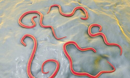 Parasitic